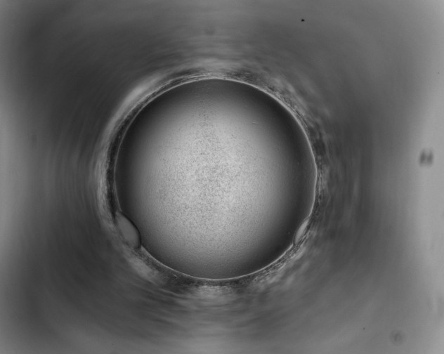 X0000103170101200808221244