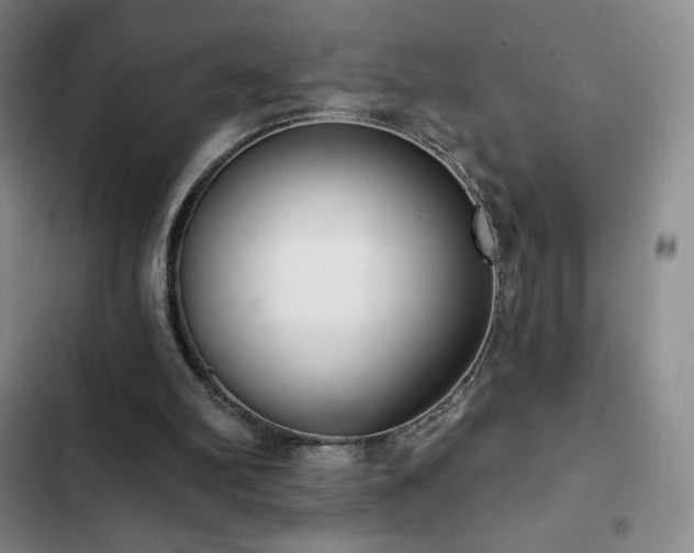 X0000103170102200808221244