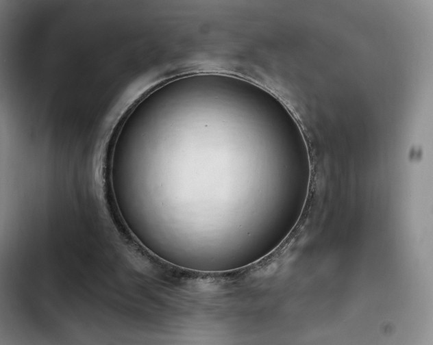 X0000103170103200808221244