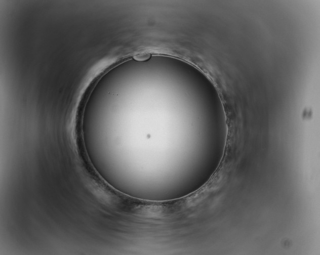 X0000103170104200808221244