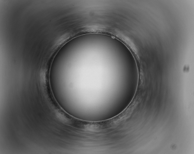 X0000103170105200808221244