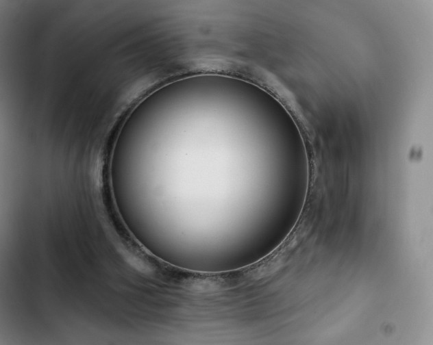 X0000103170106200808221244