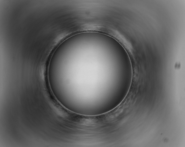 X0000103170107200808221244