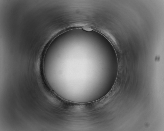 X0000103170108200808221244