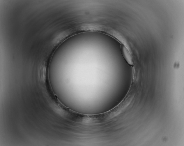 X0000103170109200808221244