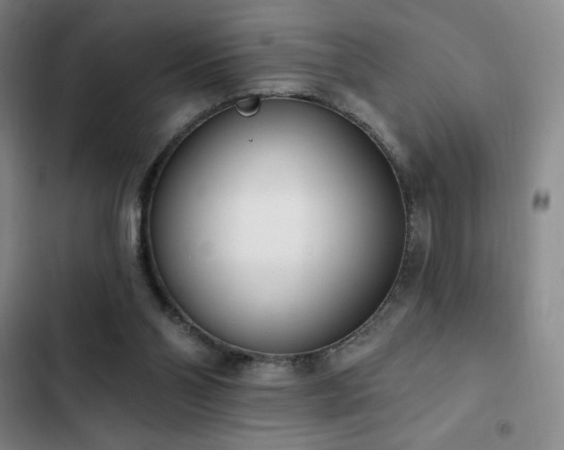 X0000103170110200808221244