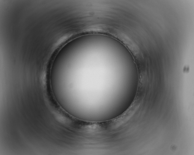 X0000103170112200808221244