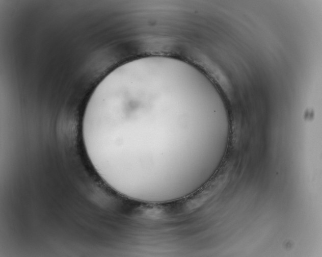 X0000103170113200808221244