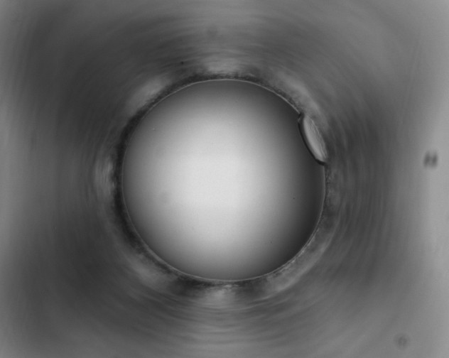 X0000103170116200808221244