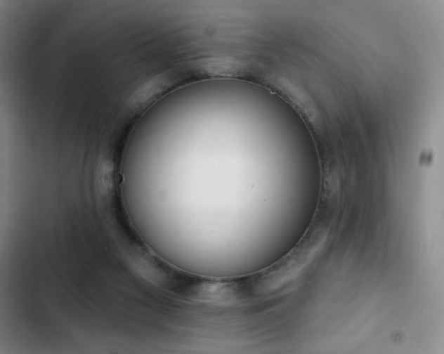 X0000103170117200808221244