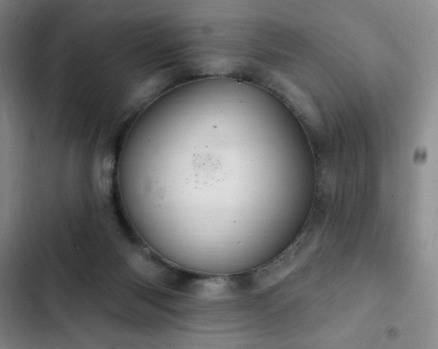 X0000103170118200808221244