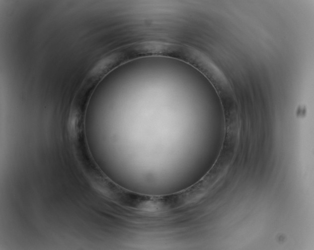 X0000103170119200808221244