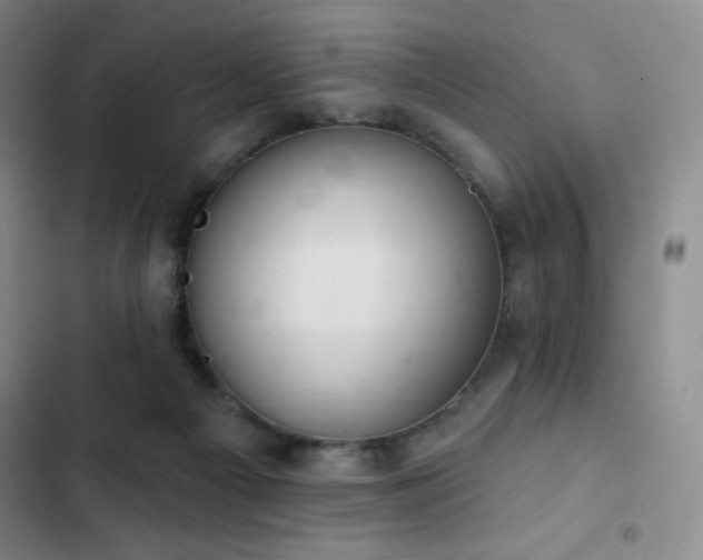 X0000103170121200808221244