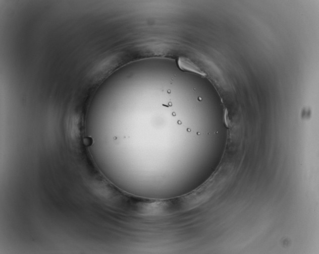 X0000103170122200808221244