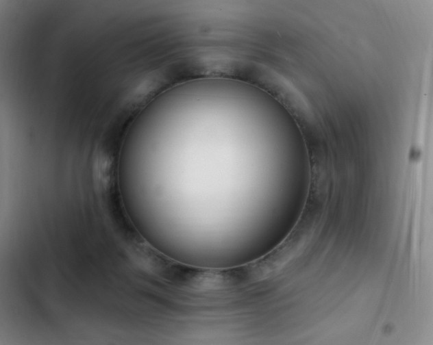 X0000103170123200808221244