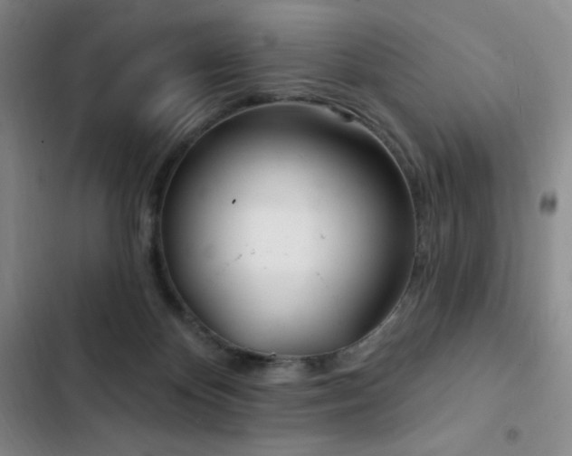 X0000103170124200808221244