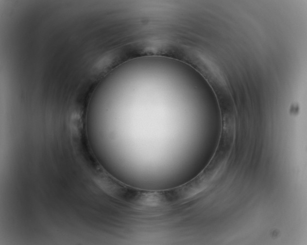 X0000103170127200808221244