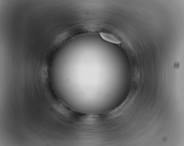 X0000103170128200808221244