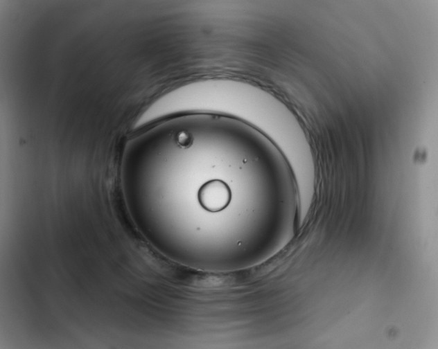 X0000103170129200808221244