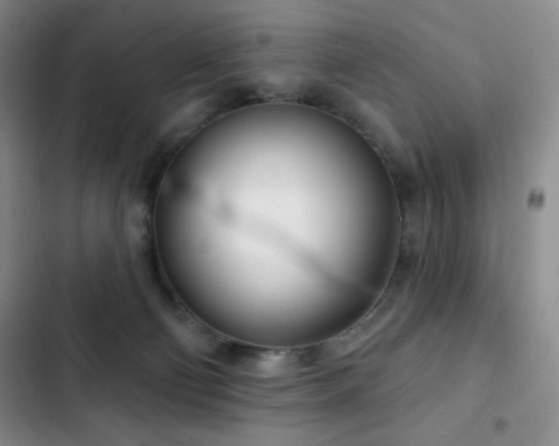 X0000103170130200808221244