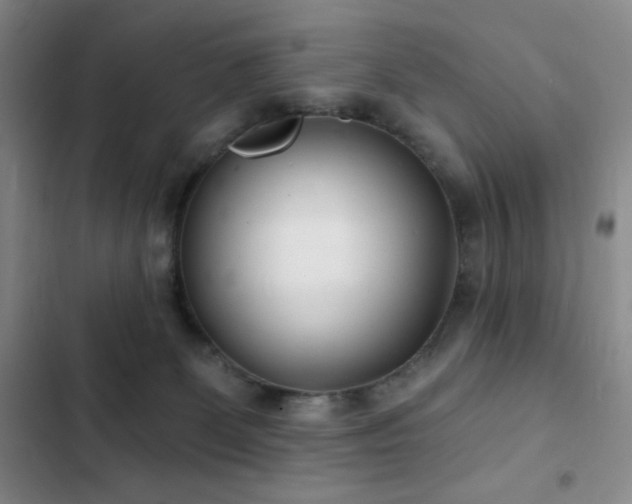 X0000103170131200808221244