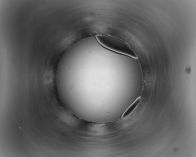 X0000103170132200808221244