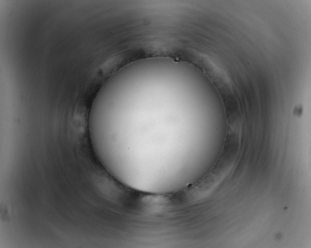 X0000103170133200808221244