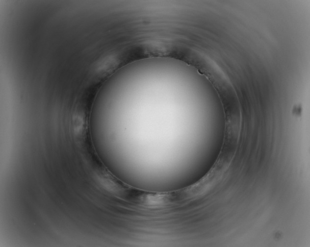 X0000103170134200808221244