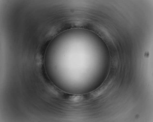 X0000103170135200808221243