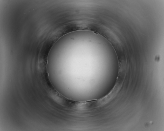 X0000103170136200808221243