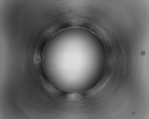 X0000103170137200808221243