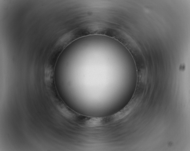 X0000103170138200808221243