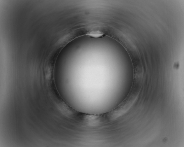 X0000103170139200808221243