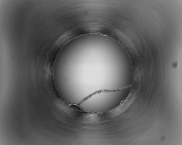 X0000103170140200808221243