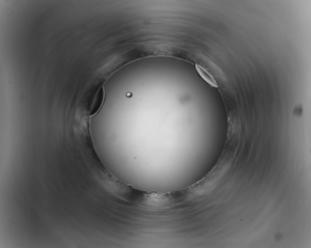 X0000103170141200808221243