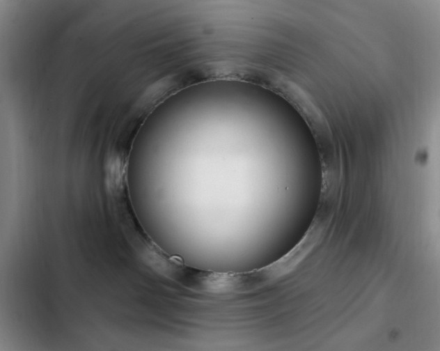 X0000103170142200808221243