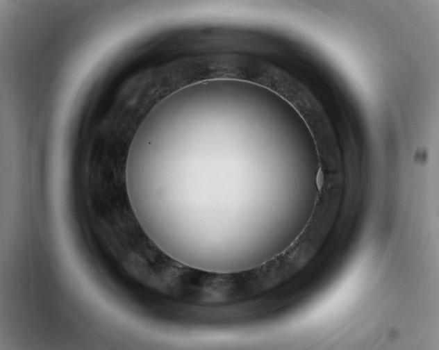 X0000103170143200808221243