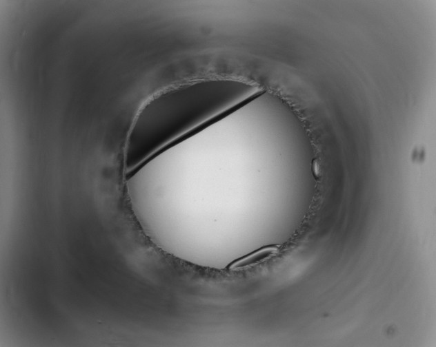 X0000103170144200808221243