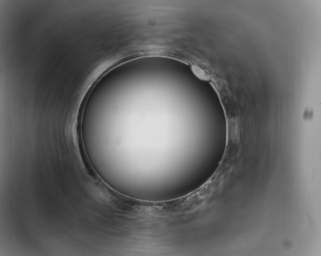 X0000103170147200808221243