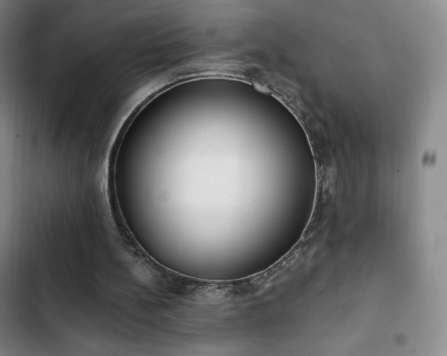 X0000103170148200808221243