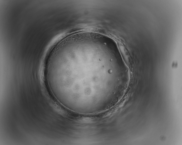 X0000103170149200808221243