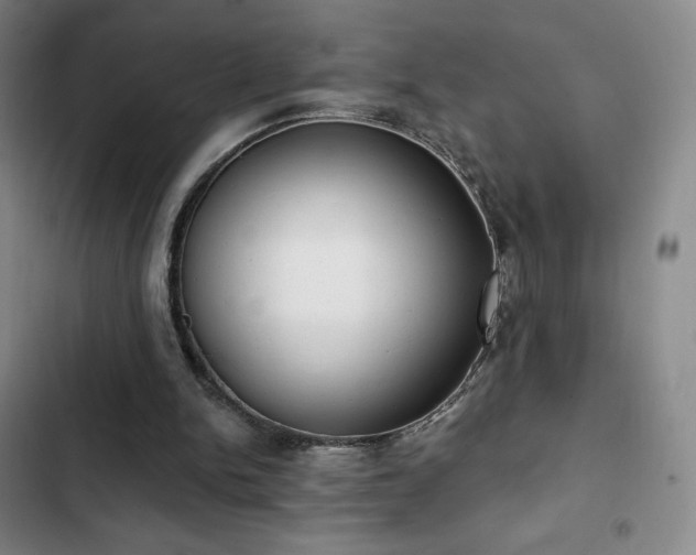 X0000103170150200808221243