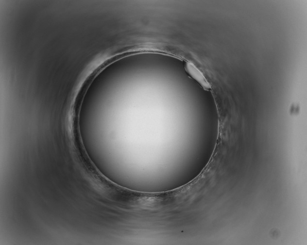 X0000103170152200808221243