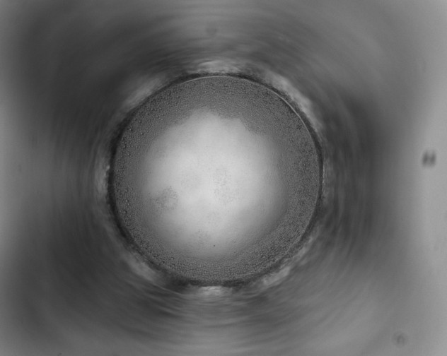 X0000103170153200808221243