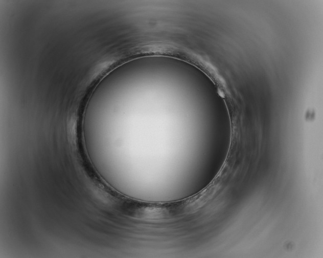 X0000103170154200808221243