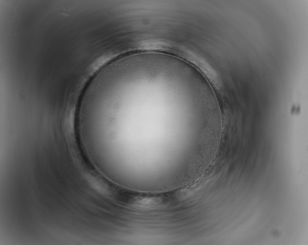 X0000103170155200808221243