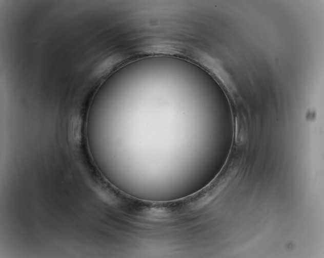 X0000103170157200808221243