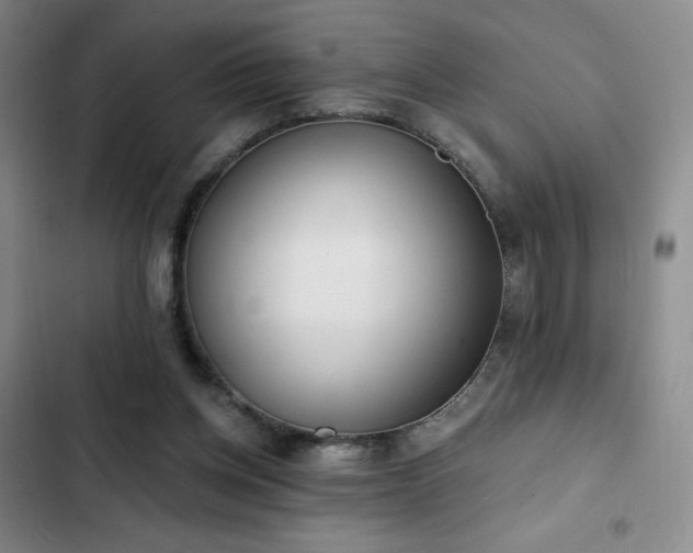 X0000103170158200808221243