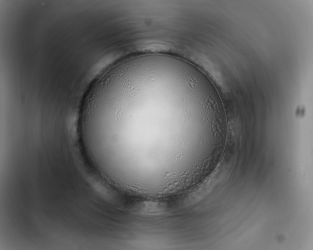 X0000103170159200808221243