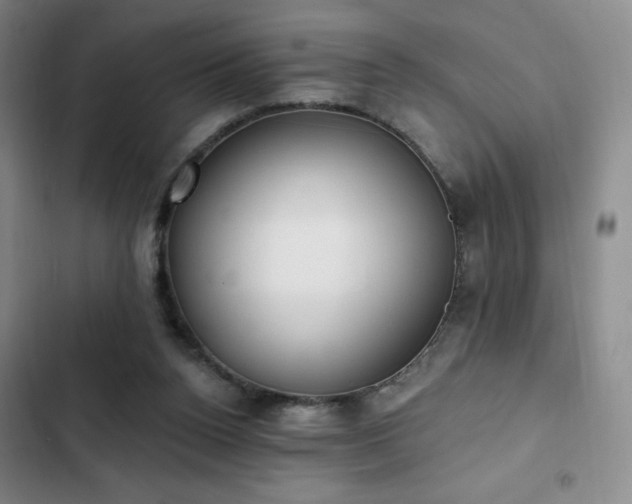 X0000103170160200808221243